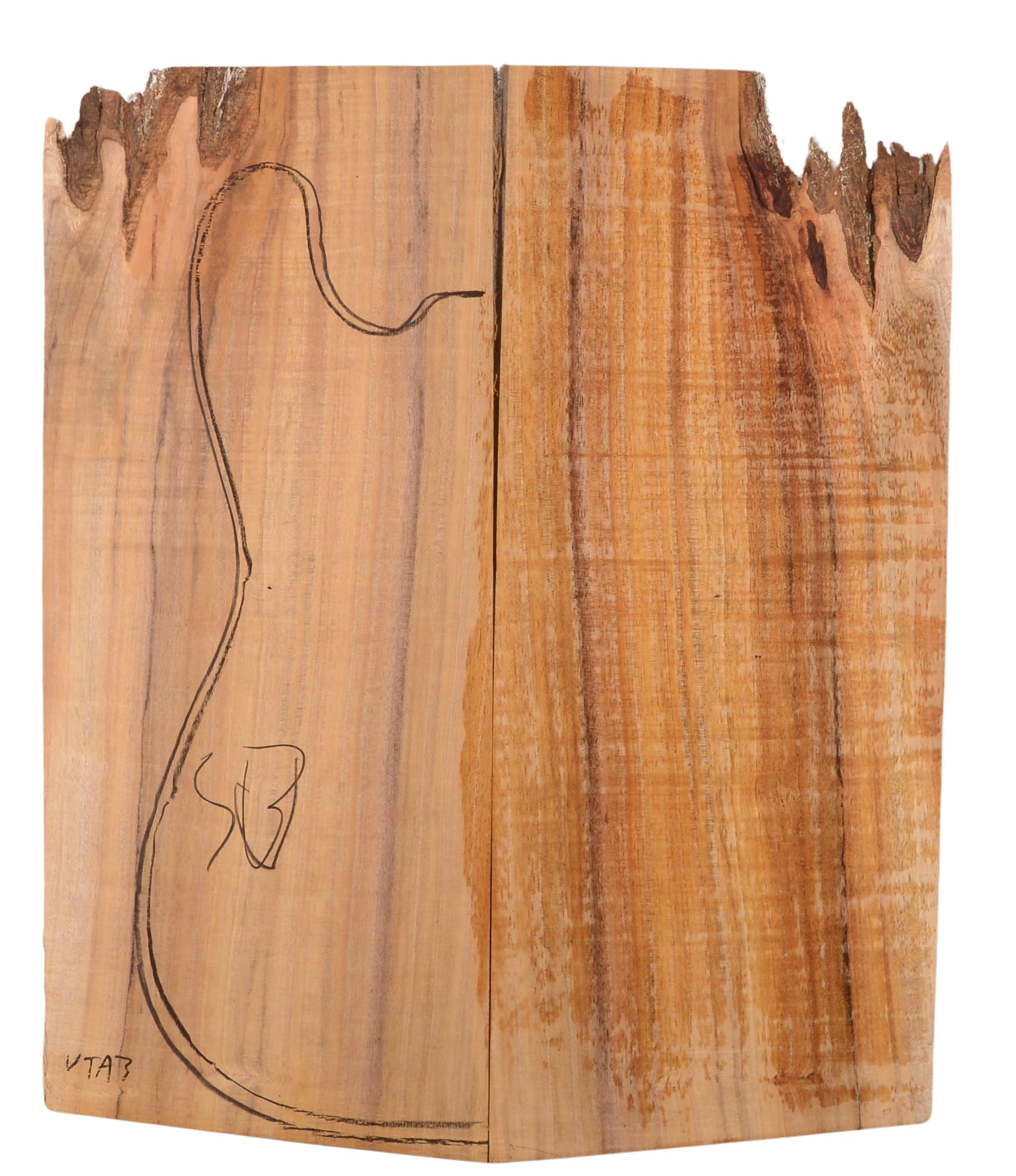 Blackwood (Tasmanian) GuitarSolidBodyTopATC L022990.G.016