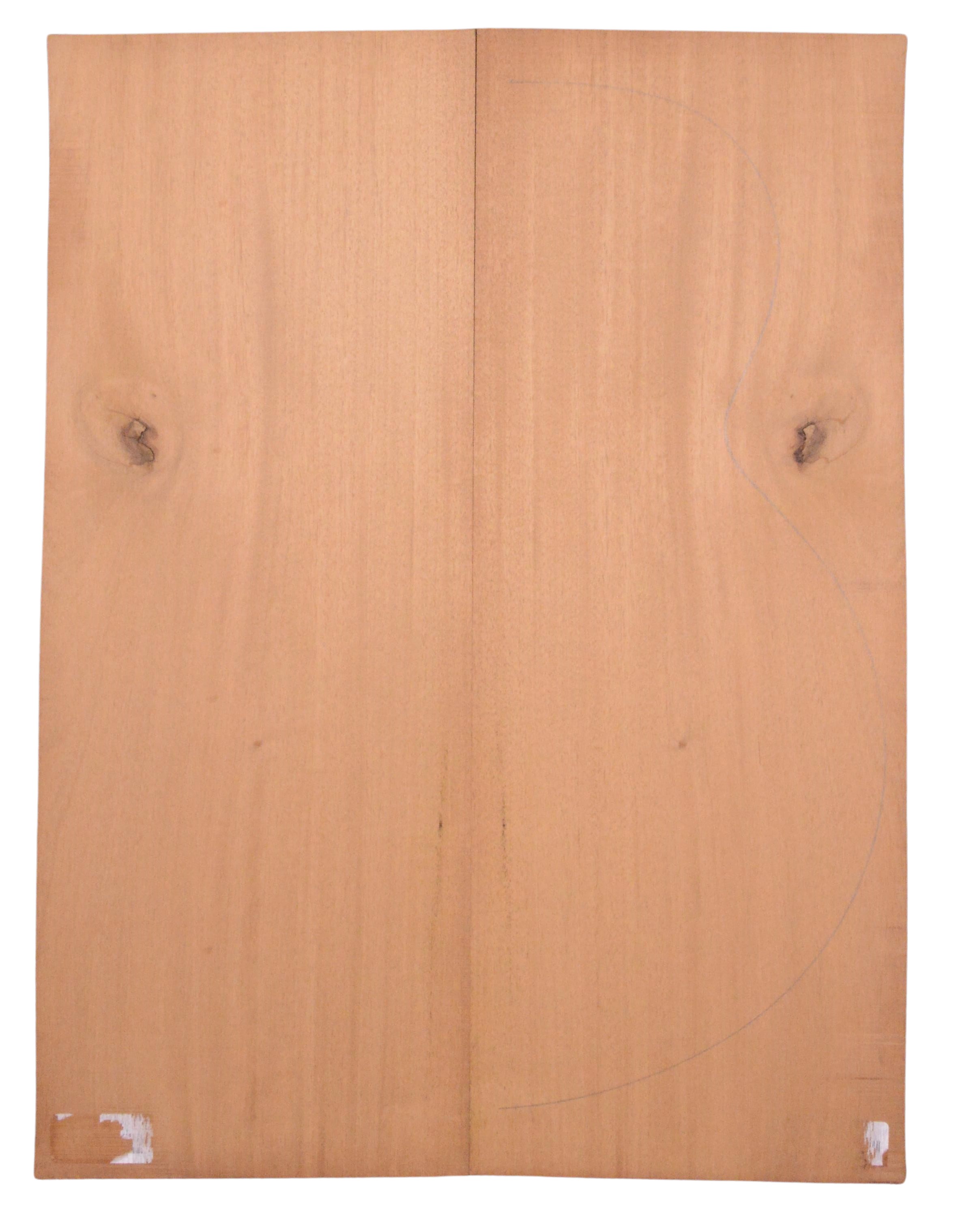 Mahogany (Sinker) GuitarBack2pcATC L026234.G.044