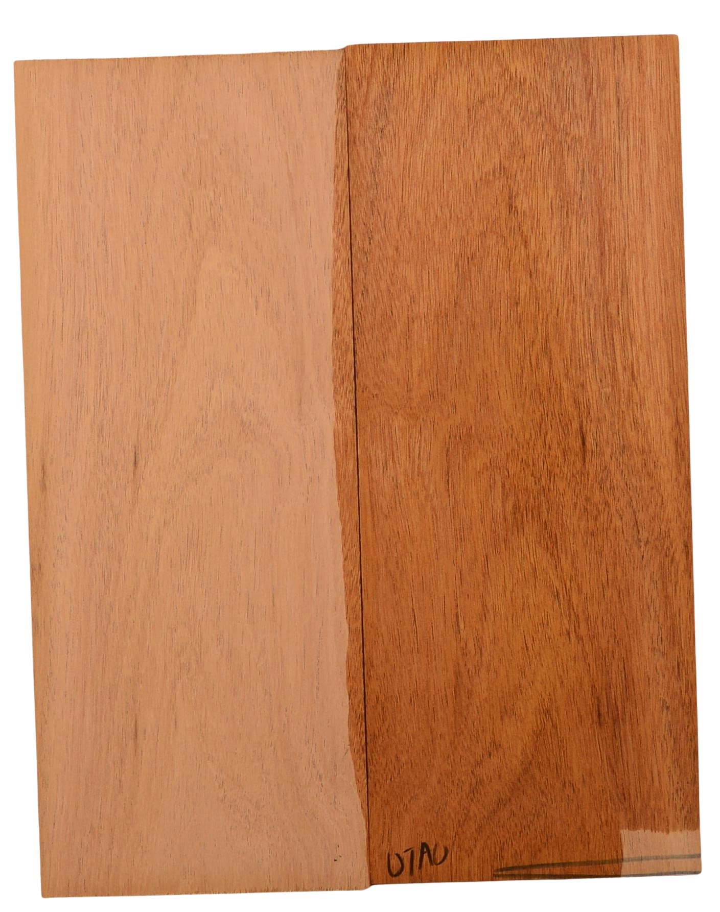 Mahogany (Sinker) UkeBack2pcATC M15509.G.124