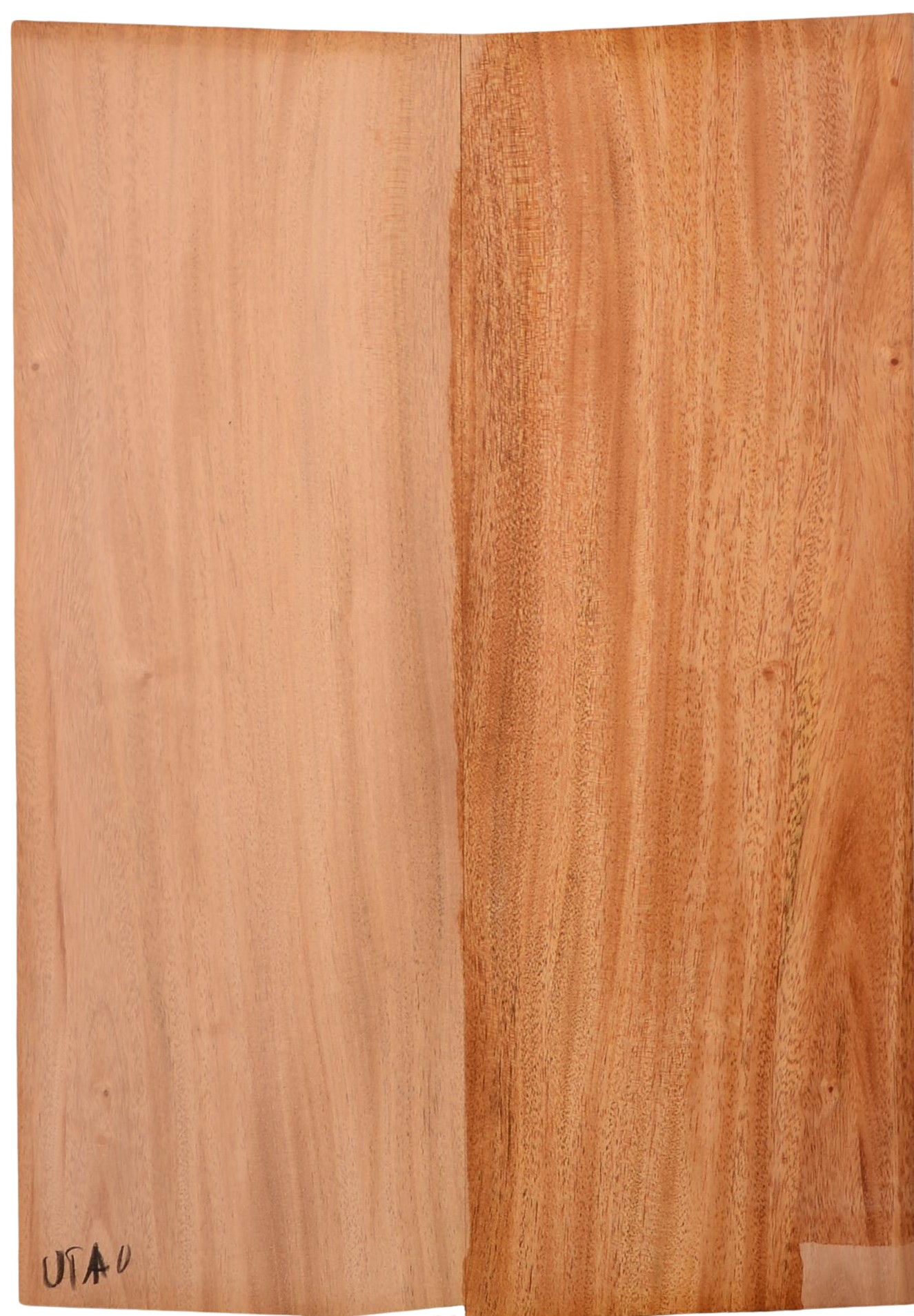 Mahogany (Sinker) UkeBack2pcATC M15509.G.125