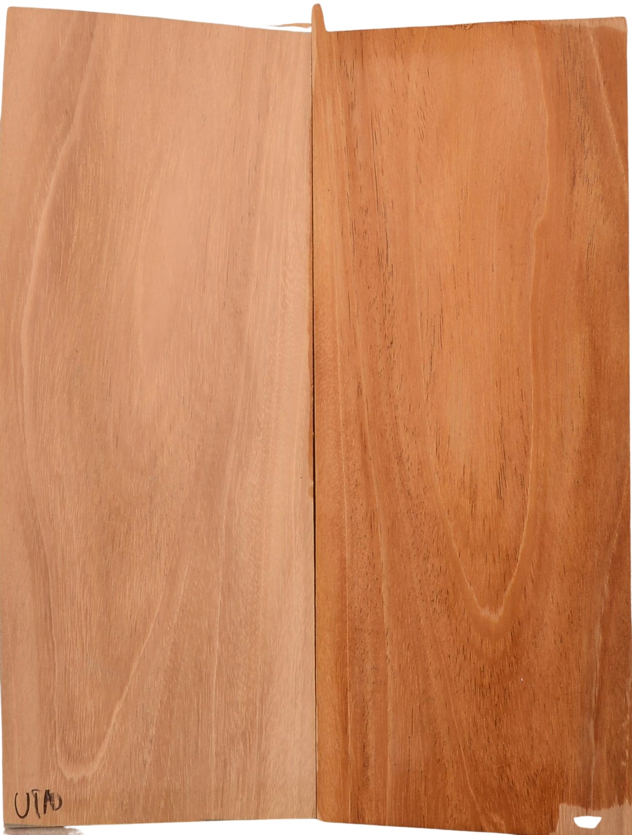 Mahogany (Sinker) UkeBack2pcATC M15509.G.128