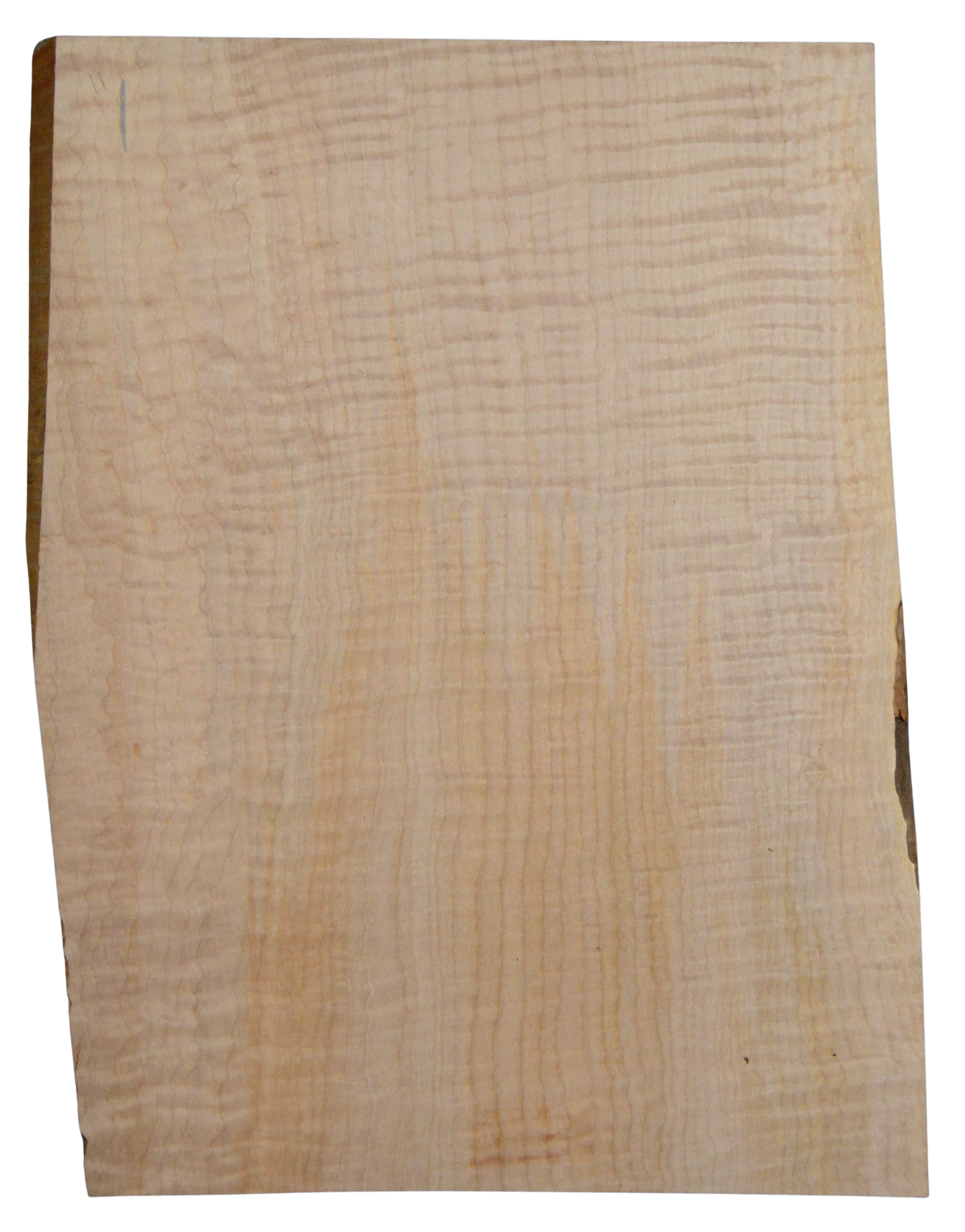 Maple (Big Leaf) GuitarSolidBodyTopATC CRLLP.G.031