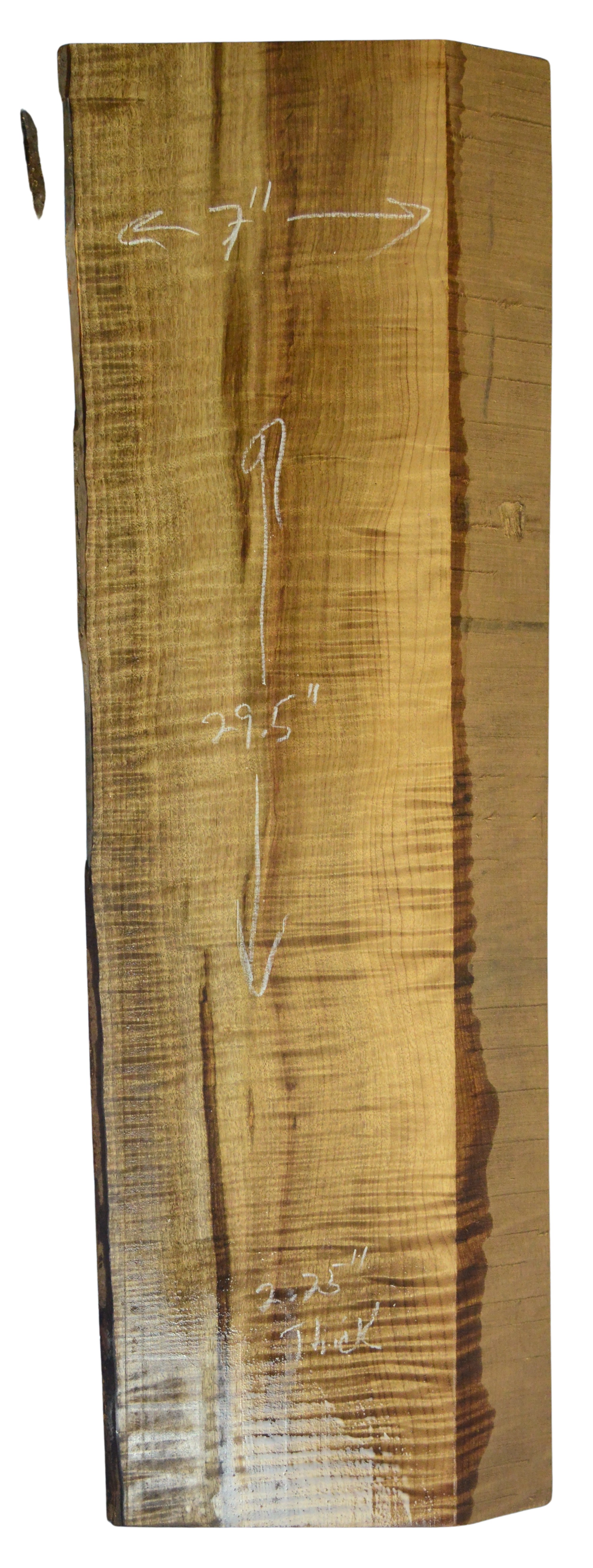 Myrtle (American) GuitarSolidBodyBilletATC L026351.G.006