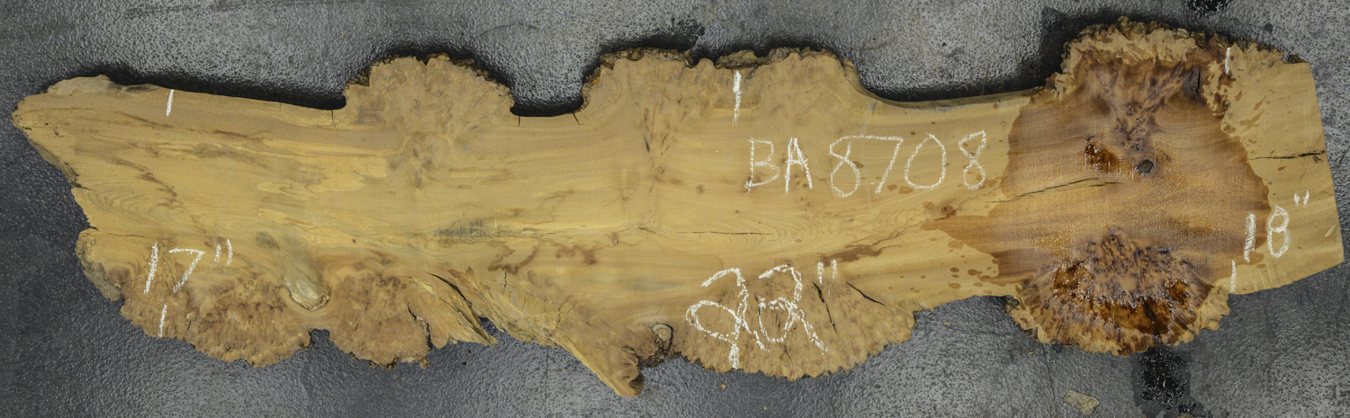 Elm (English Wych) Board BA8708