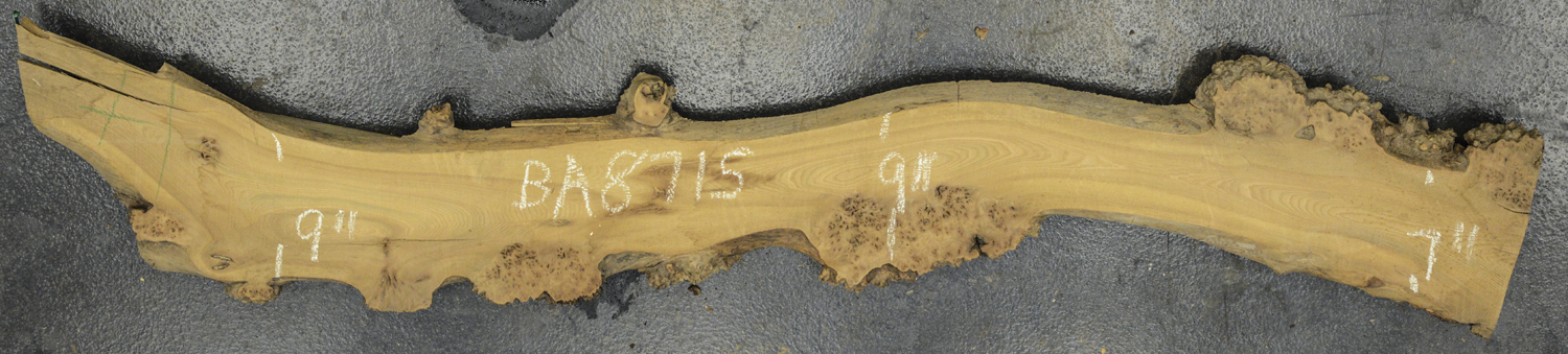 Elm (English Wych) Board BA8715