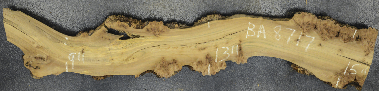 Elm (English Wych) Board BA8717
