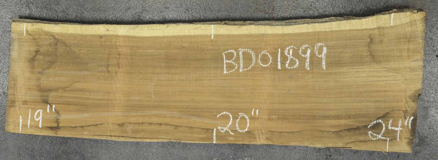 Blackwood (Tasmanian) Board BD01899