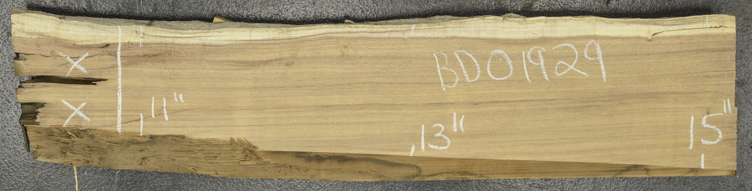 Blackwood (Tasmanian) Board BD01929