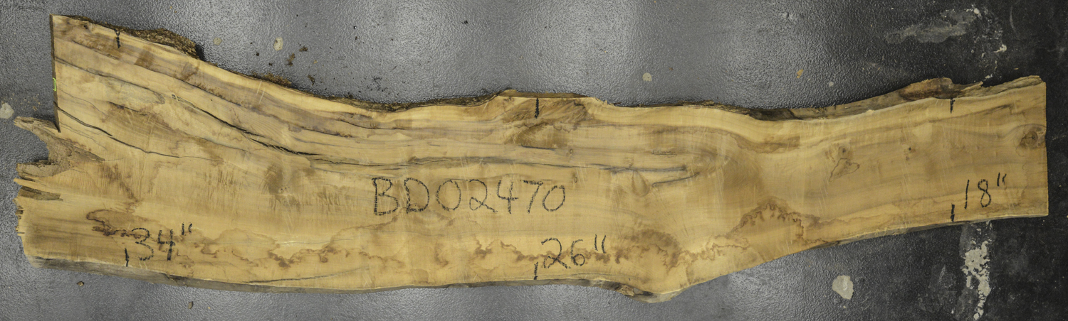 Myrtle (American) Board BD02470