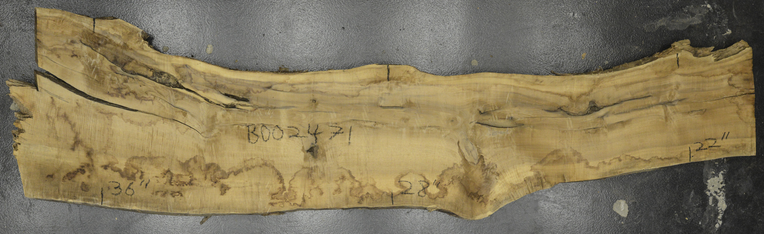 Myrtle (American) Board BD02471