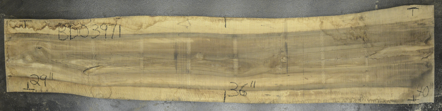 Walnut (European) Board BD03971