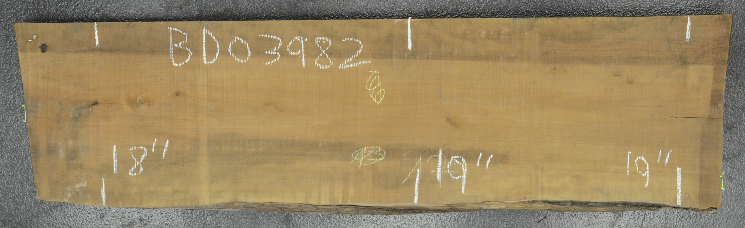 Pear (European) Board BD03982