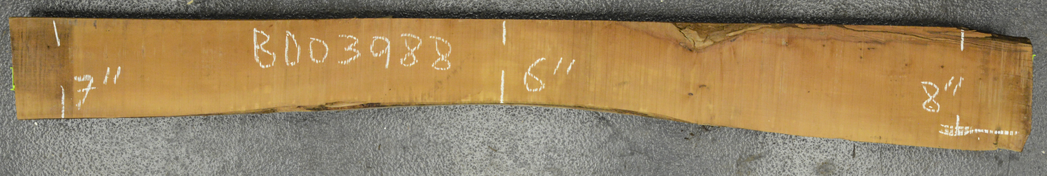 Pear (European) Board BD03988