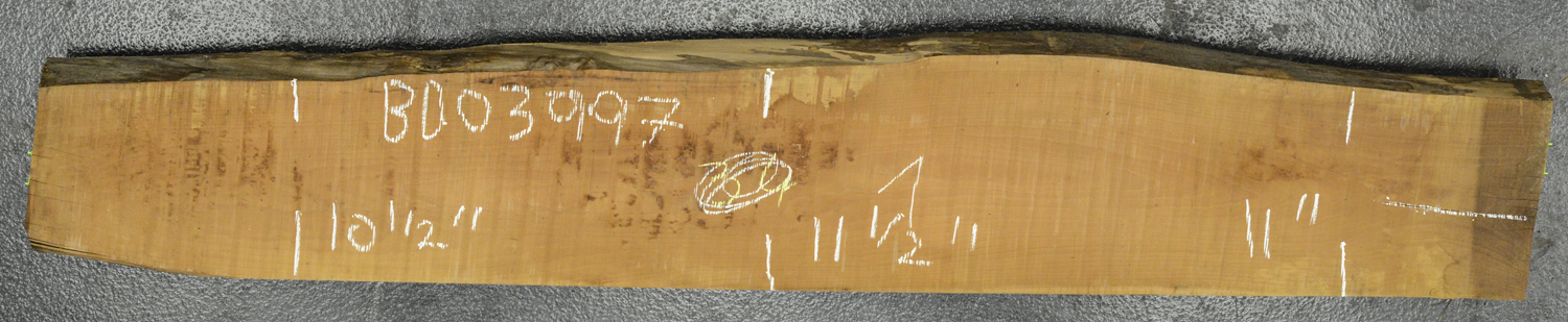 Pear (European) Board BD03997