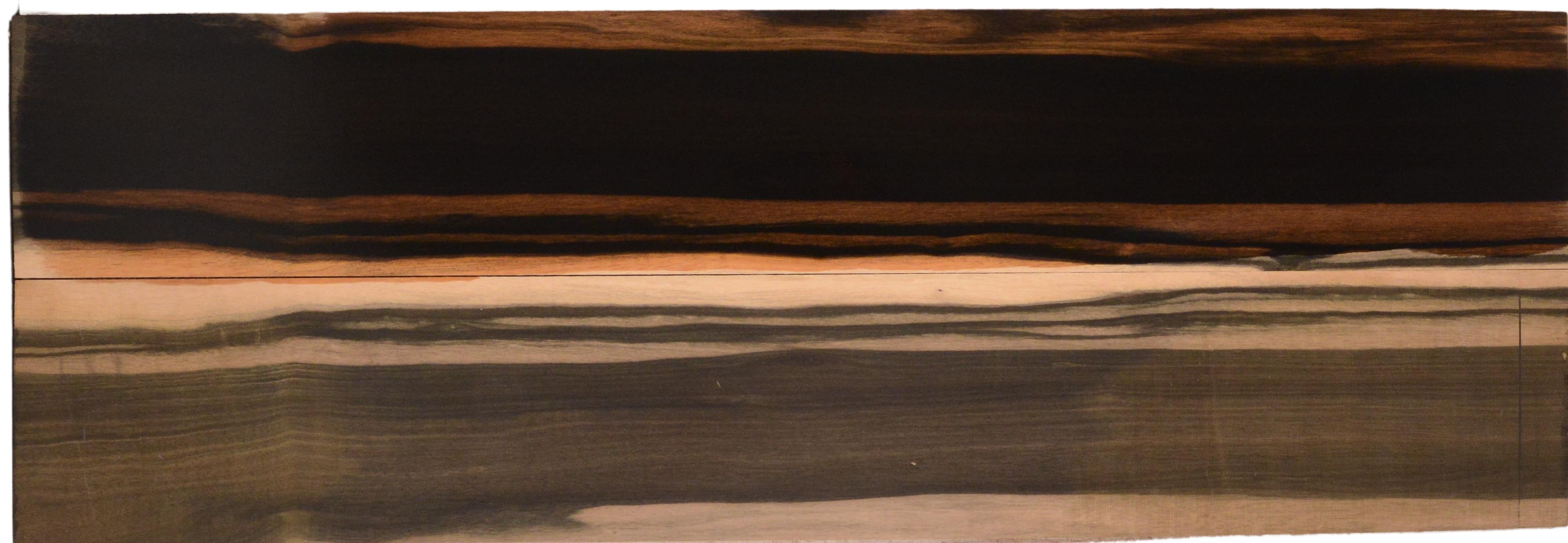 Ebony (Macassar) GuitarSides2pcATC L15511.G.051