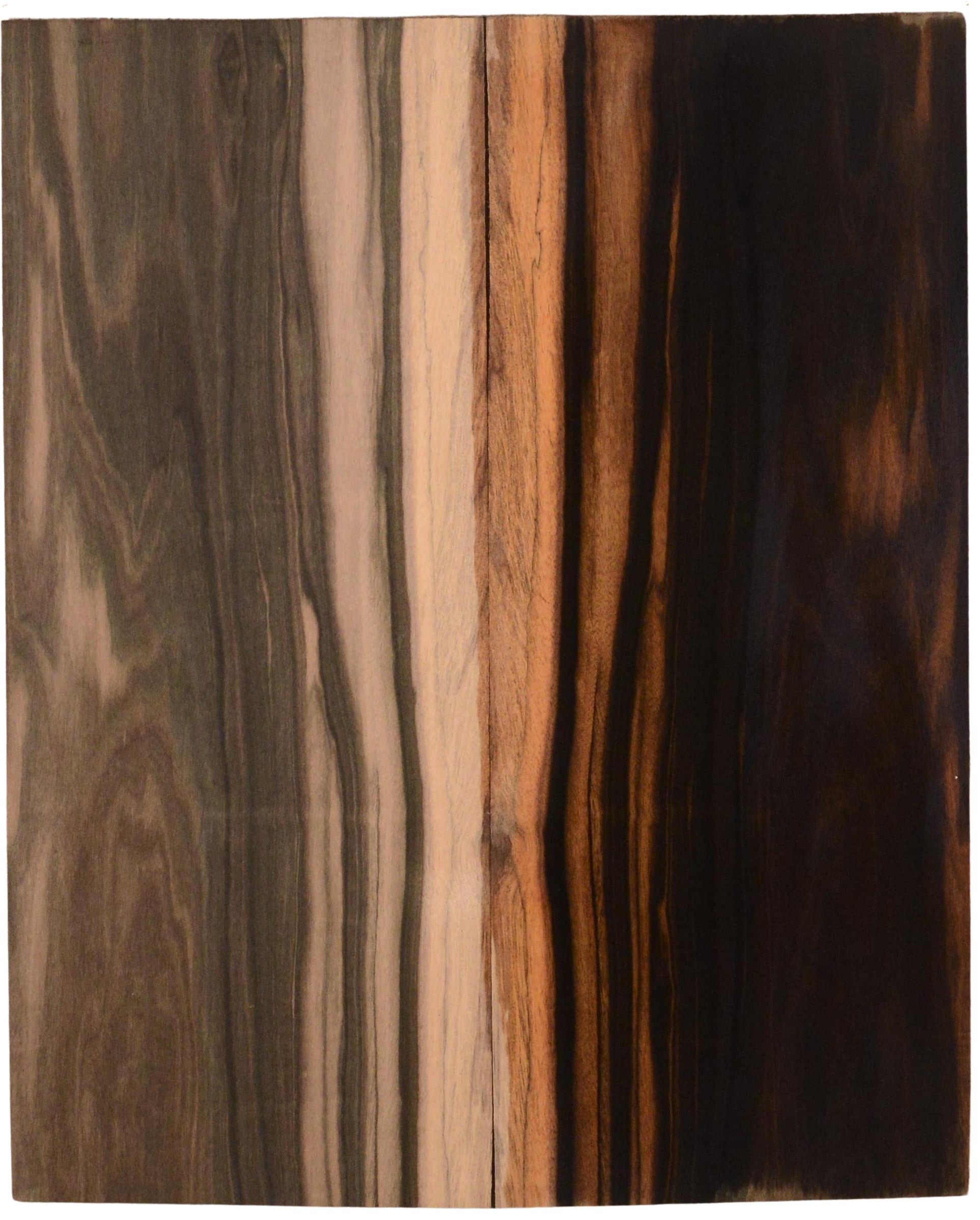 Ebony (Macassar) GuitarBack2pcATC L15511.G.055