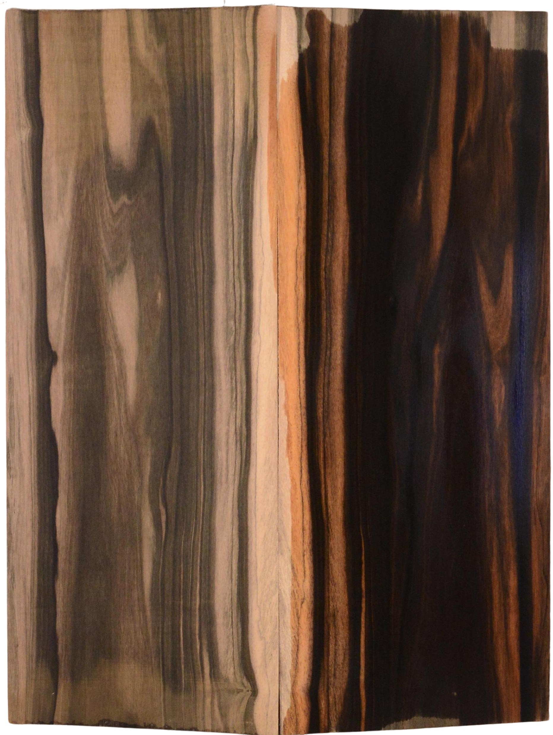 Ebony (Macassar) GuitarBack2pcATC L15511.G.056