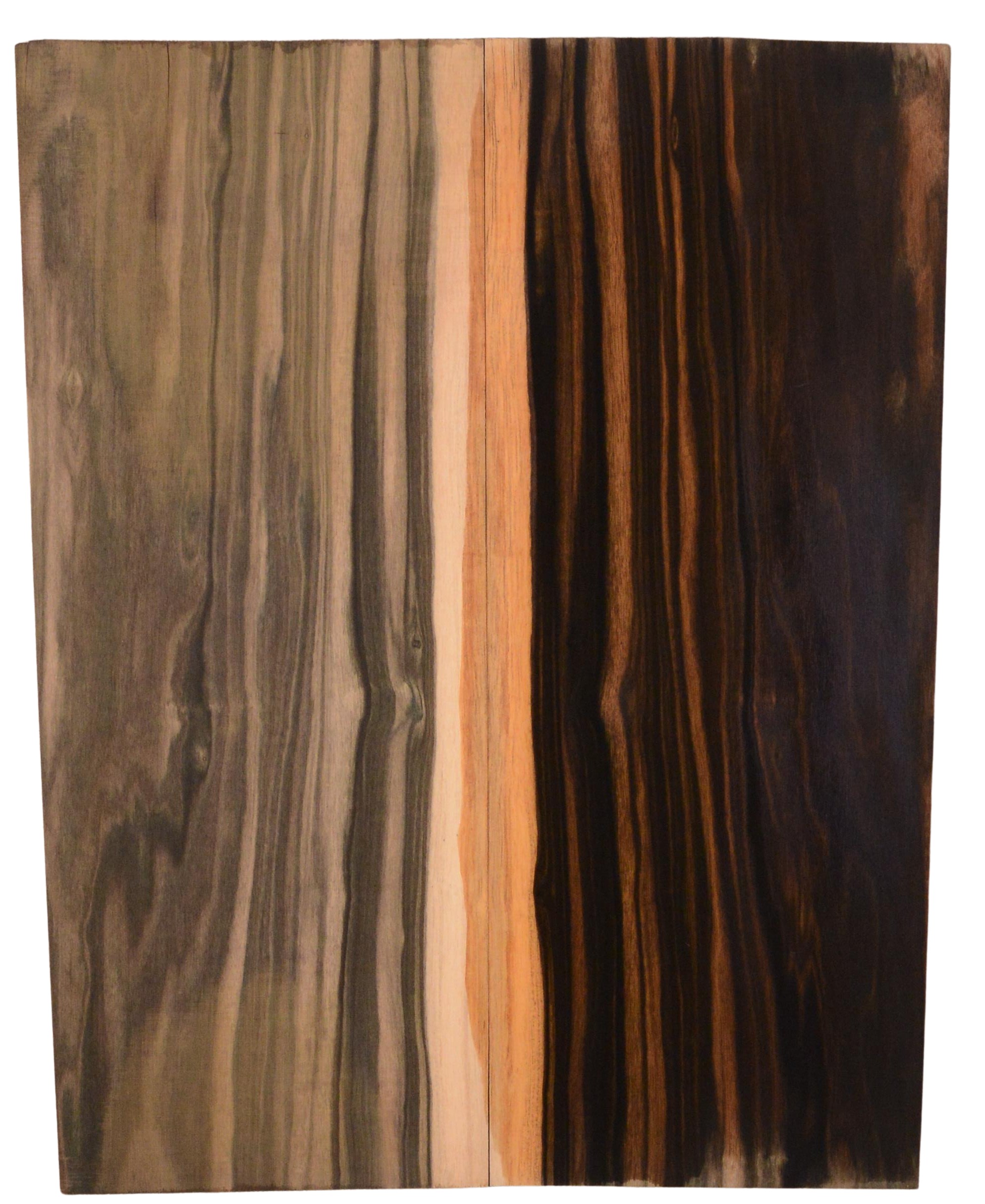 Ebony (Macassar) GuitarBack2pcATC L15511.G.057