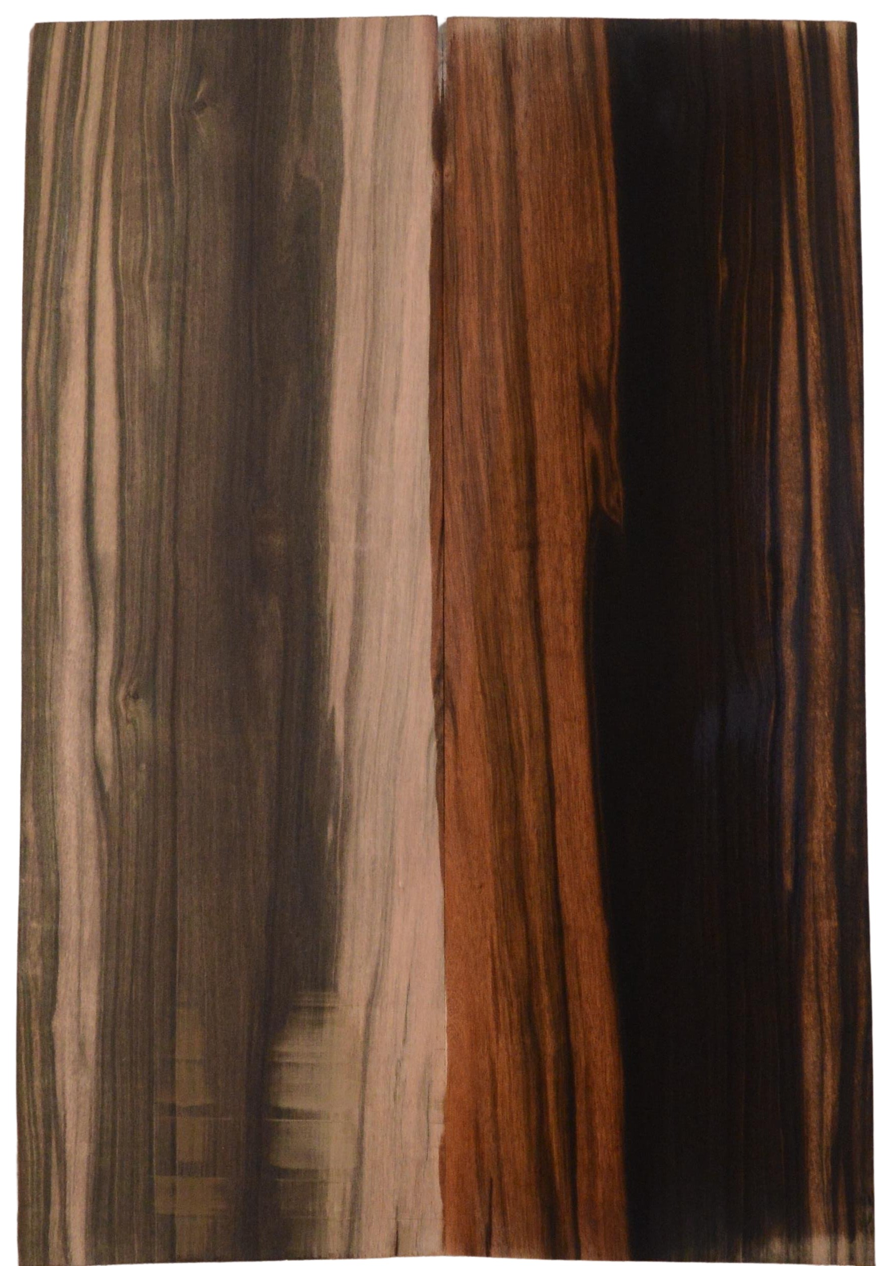 Ebony (Macassar) GuitarBack2pcATC L15511.G.058