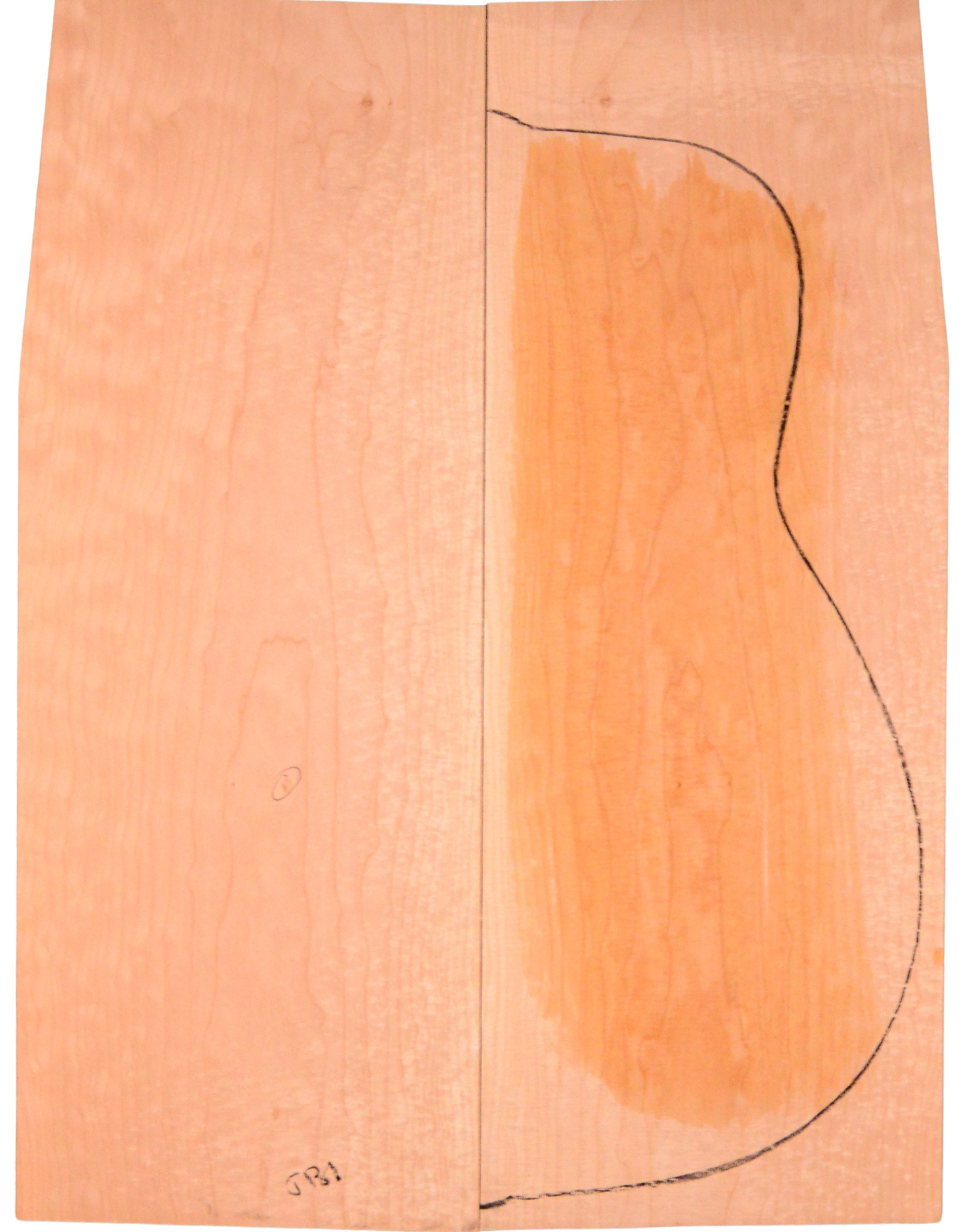 Maple (Big Leaf) GuitarBack2pcATC M2843.G.038