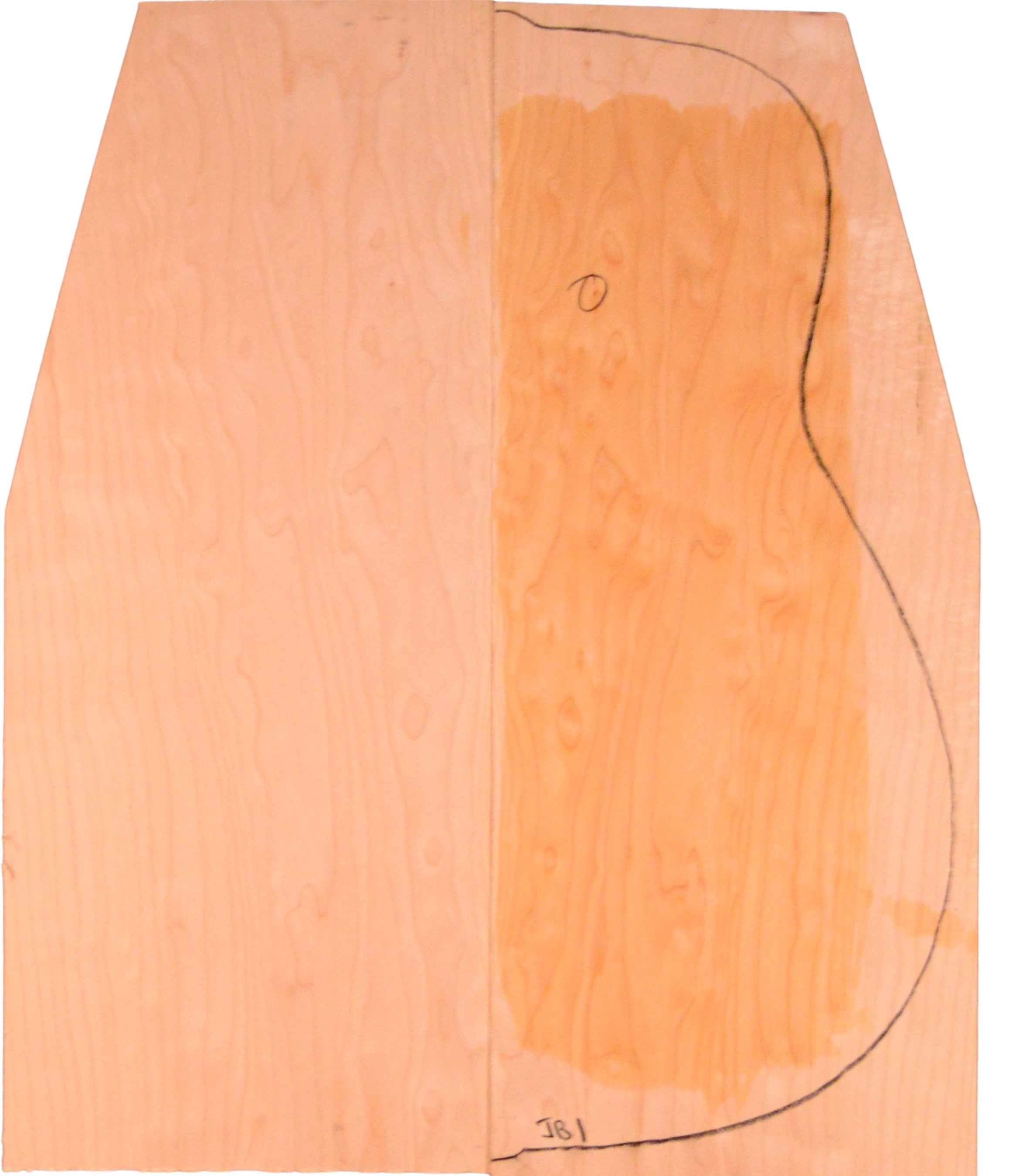 Maple (Big Leaf) GuitarBack2pcATC M2843.G.039