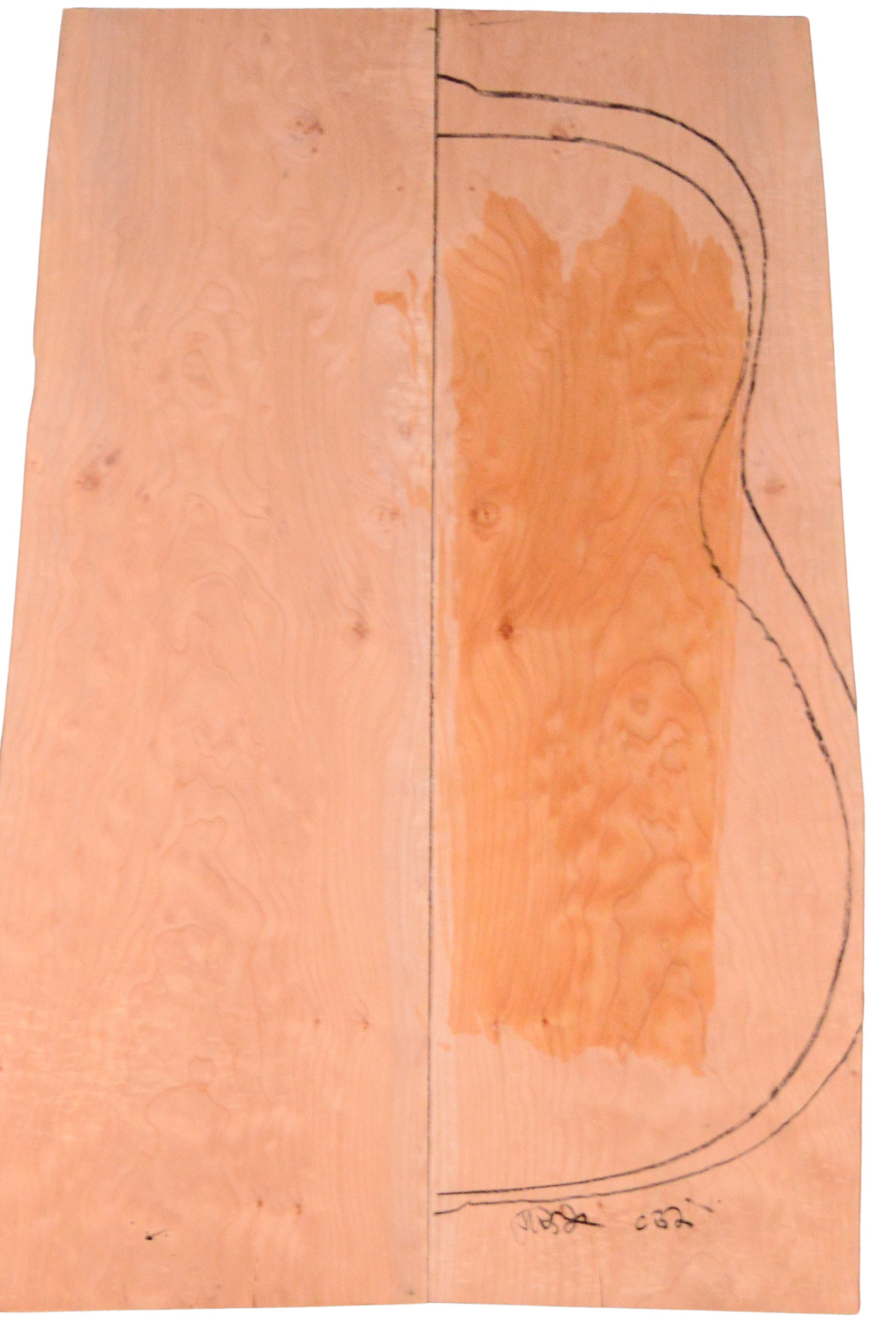 Maple (Big Leaf) GuitarBack2pcATC M2843.G.041