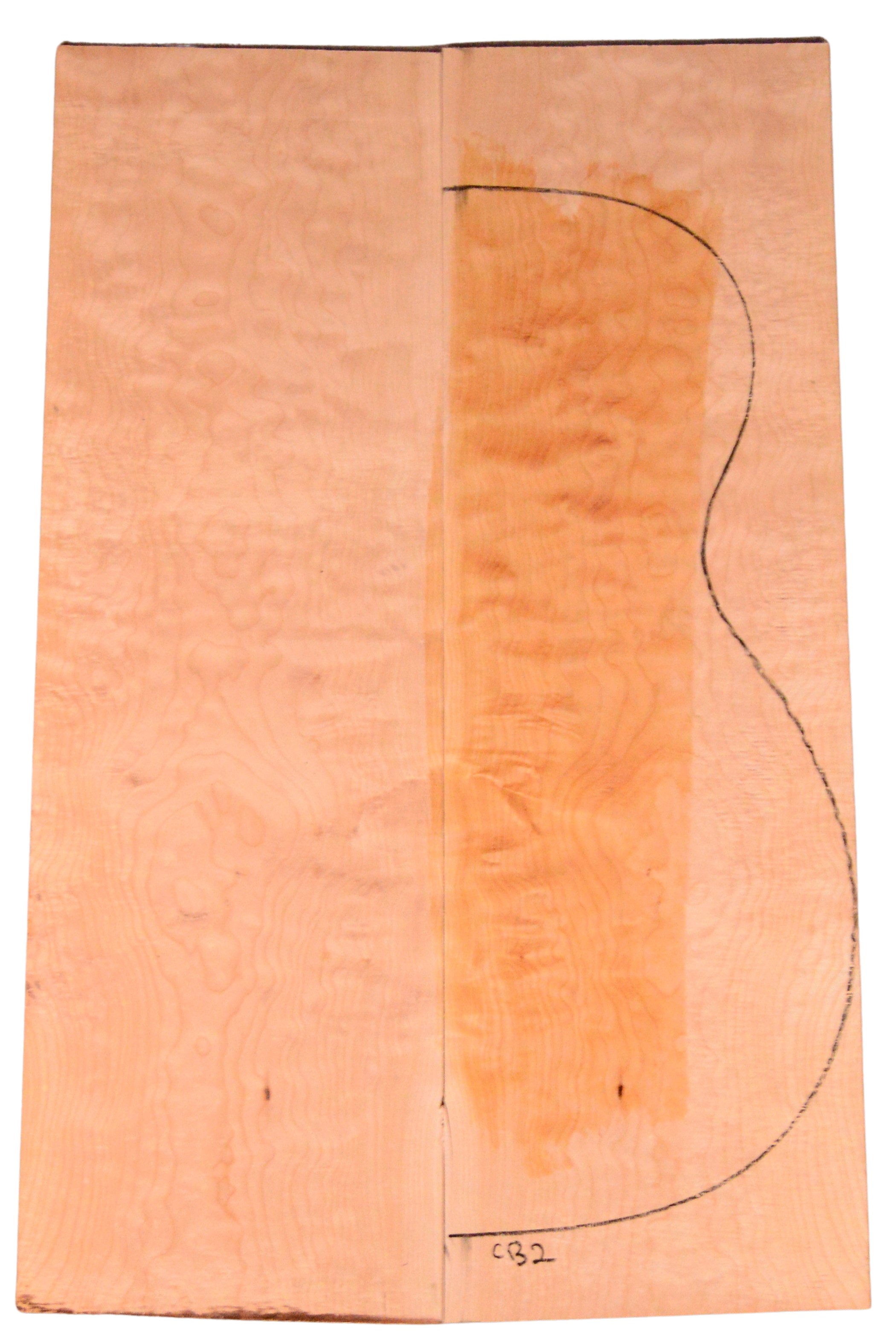 Maple (Big Leaf) GuitarBack2pcATC M2843.G.042