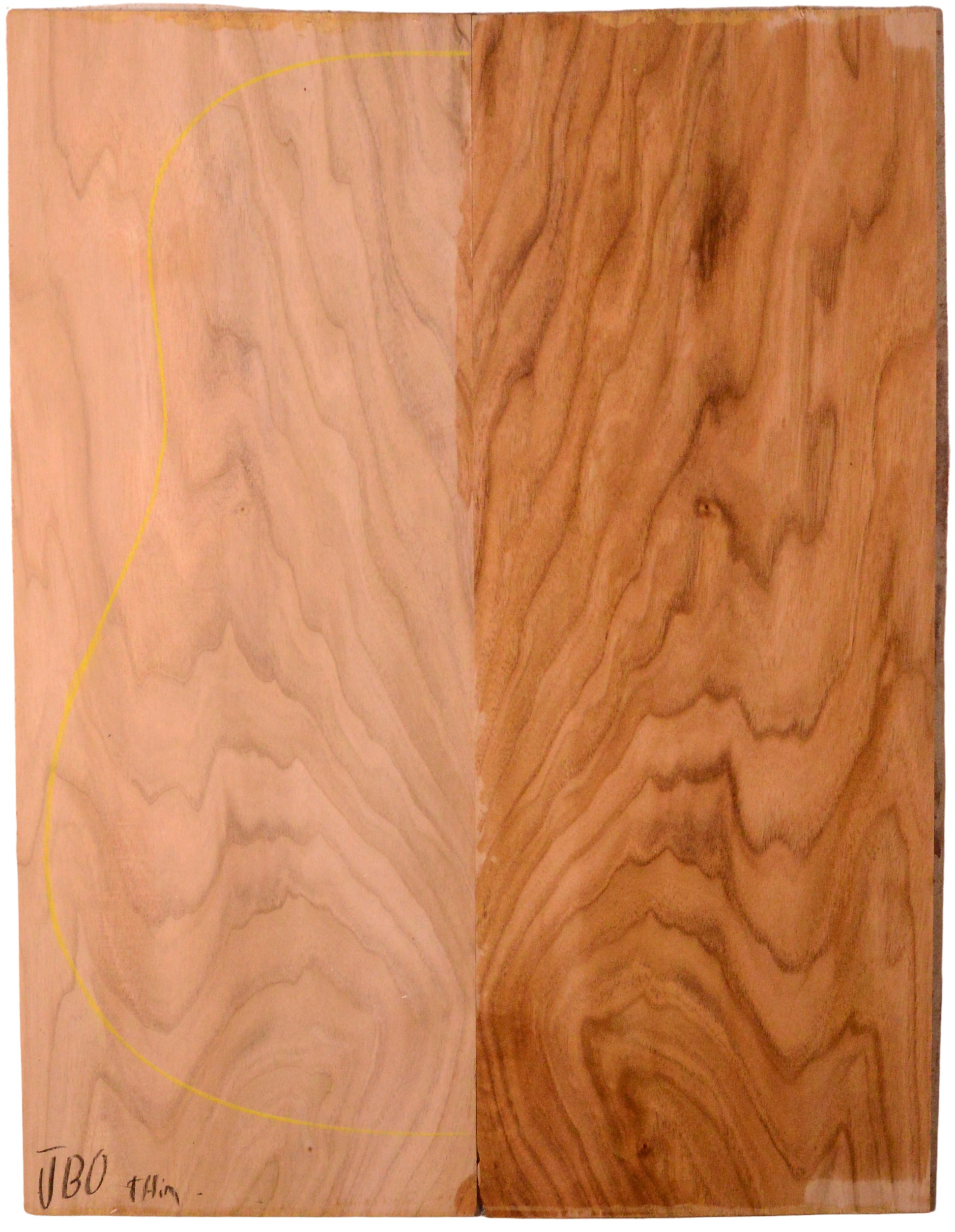 Butternut GuitarBack2pcATC NAMM19.G.213