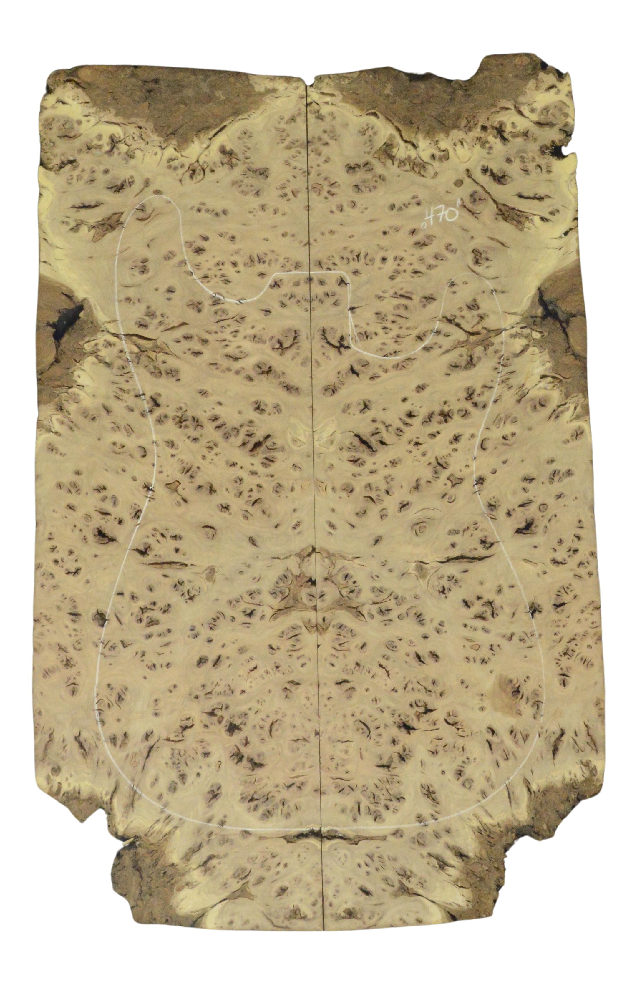 Elm (Red) GuitarSolidBodyTopATC 26213.G.006