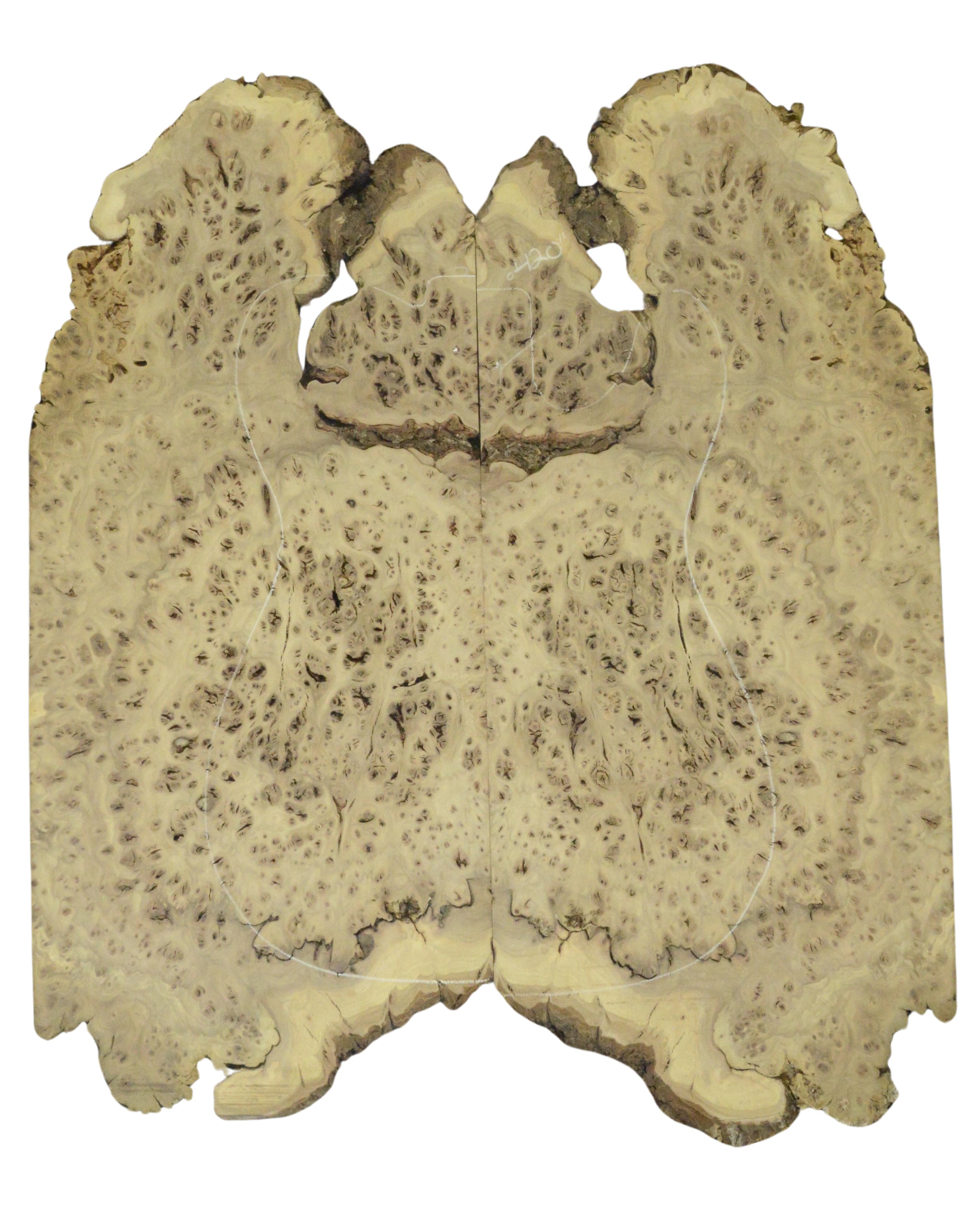 Elm (Red) GuitarSolidBodyTopATC 26213.G.008