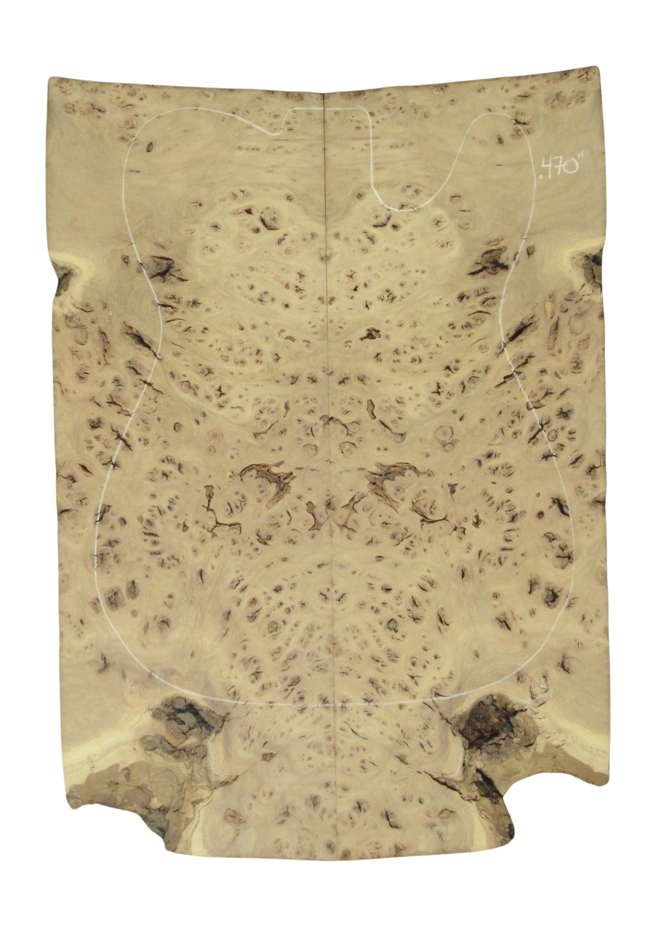 Elm (Red) GuitarSolidBodyTopATC 26213.G.016