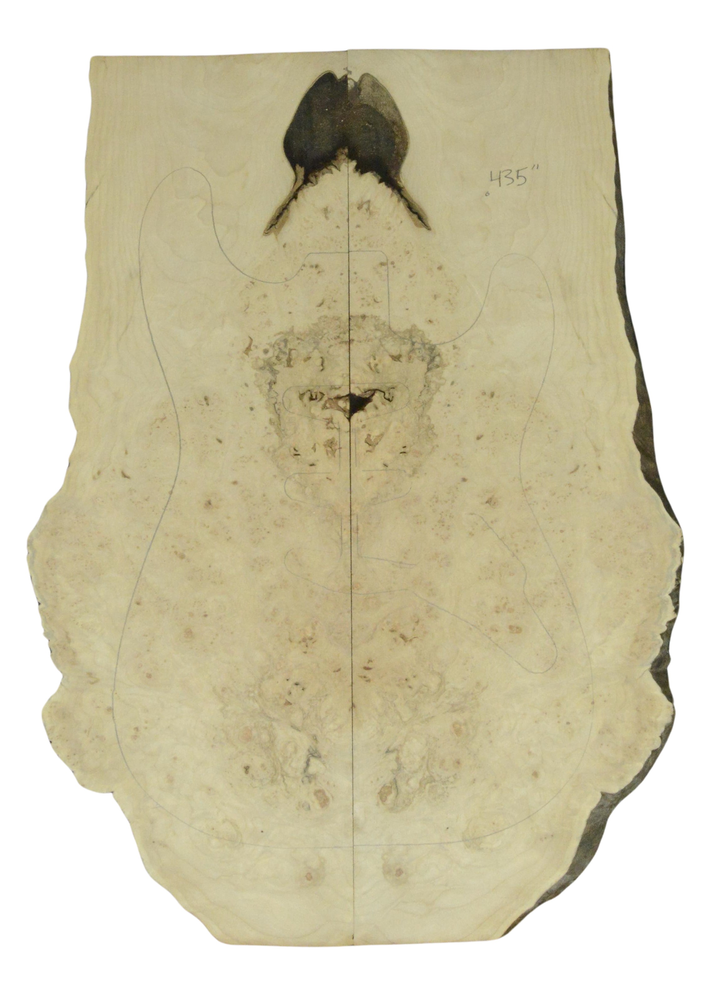 Maple (Big Leaf) GuitarSolidBodyTopATC 26216.G.007