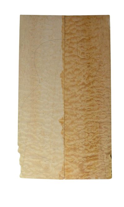 Maple (Big Leaf) GuitarSolidBodyTopATC 26303.G.004