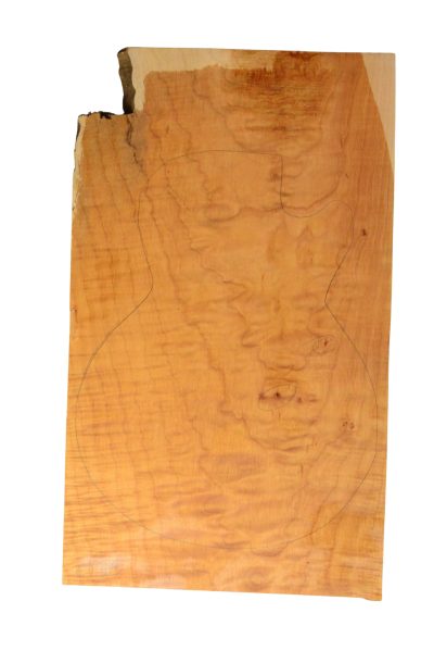 Maple (Big Leaf) GuitarSolidBodyTopATC 26303.G.007