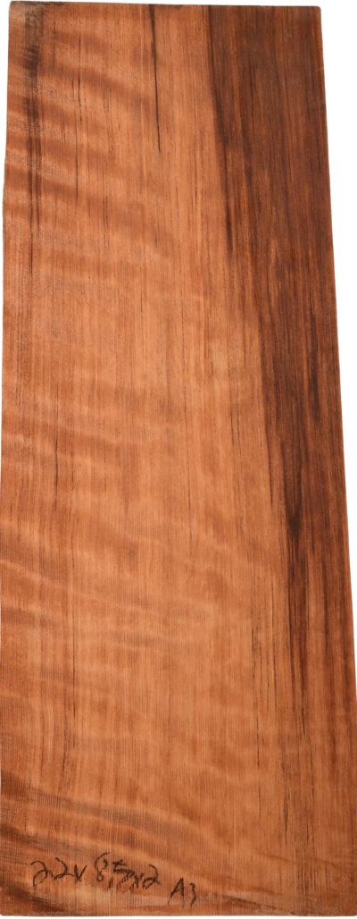 Redwood GuitarBilletATC L022993.G.047