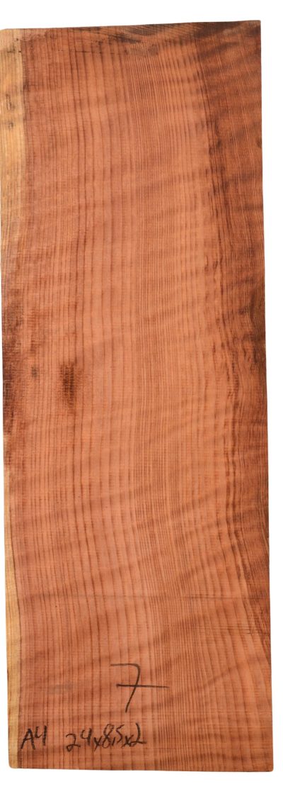 Redwood GuitarBilletATC L022993.G.054