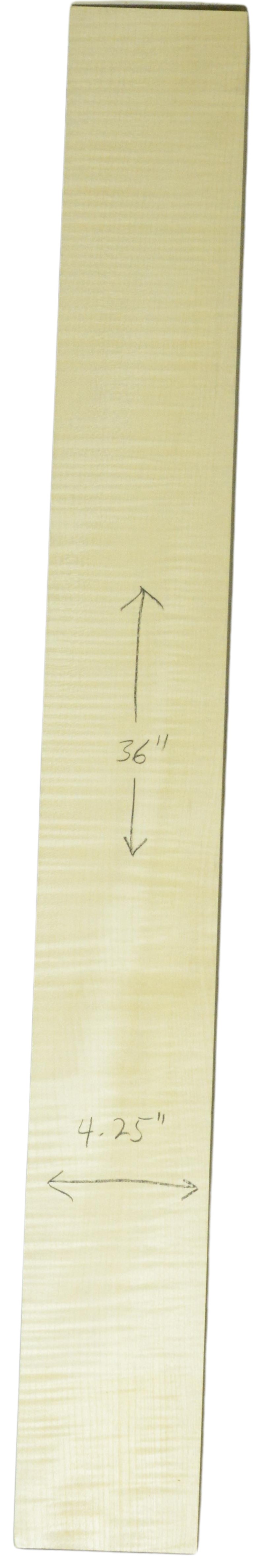 Sycamore (English) GuitarNeckATC L26230.G.003