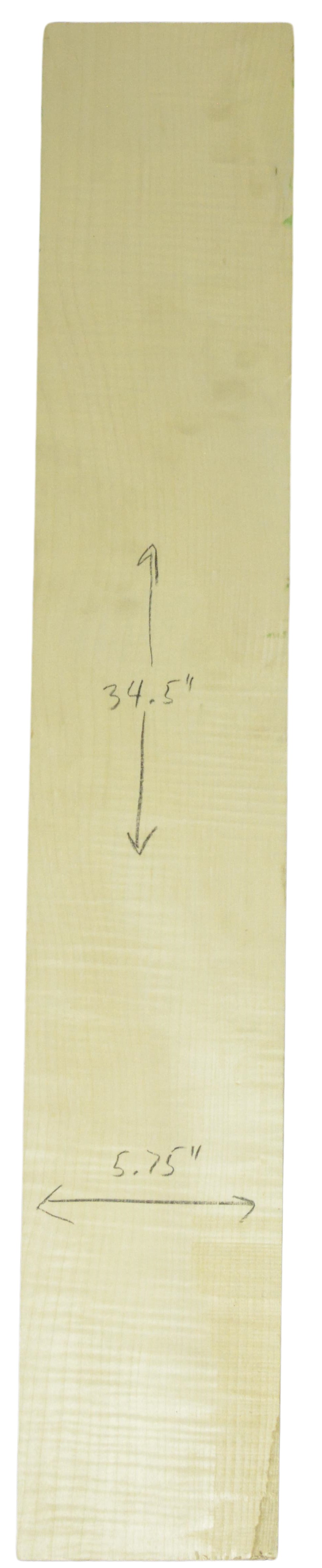 Sycamore (English) GuitarNeckATC L26230.G.004