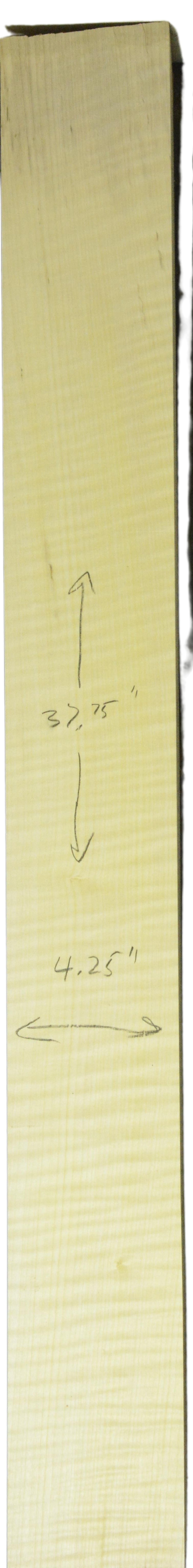 Sycamore (English) GuitarNeckATC L26230.G.017