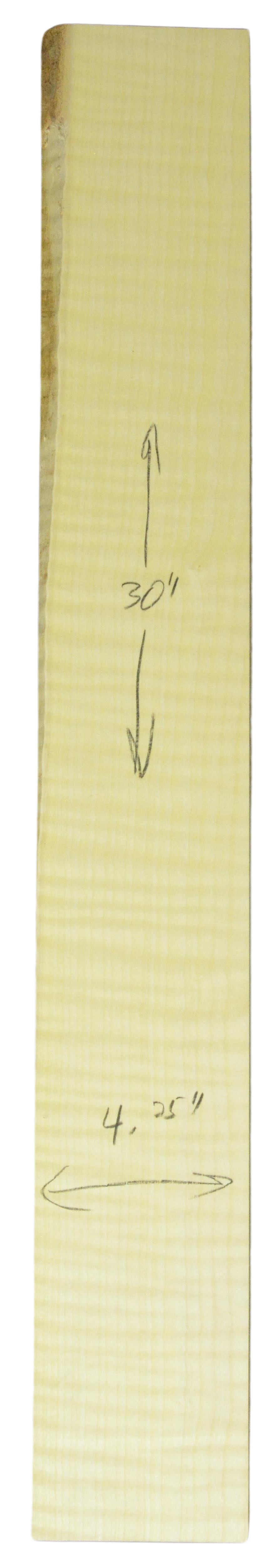 Sycamore (English) GuitarNeckATC L26230.G.019