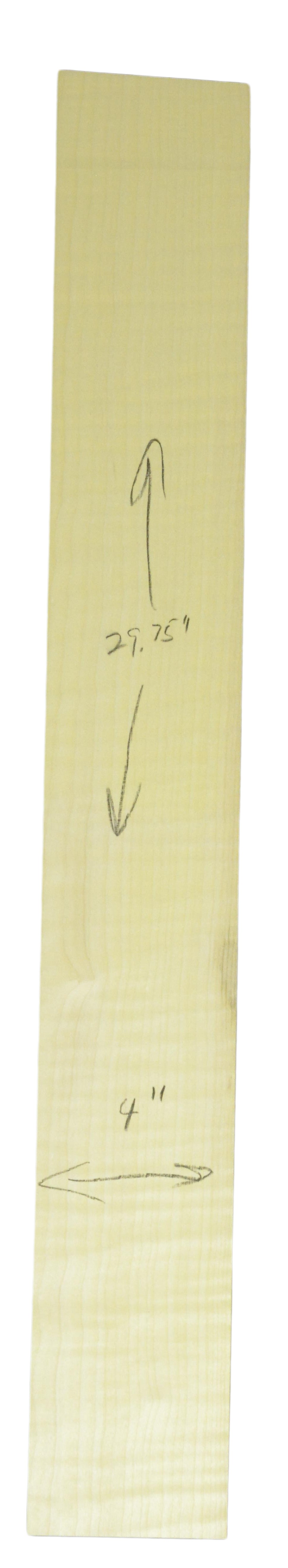 Sycamore (English) GuitarNeckATC L26230.G.020