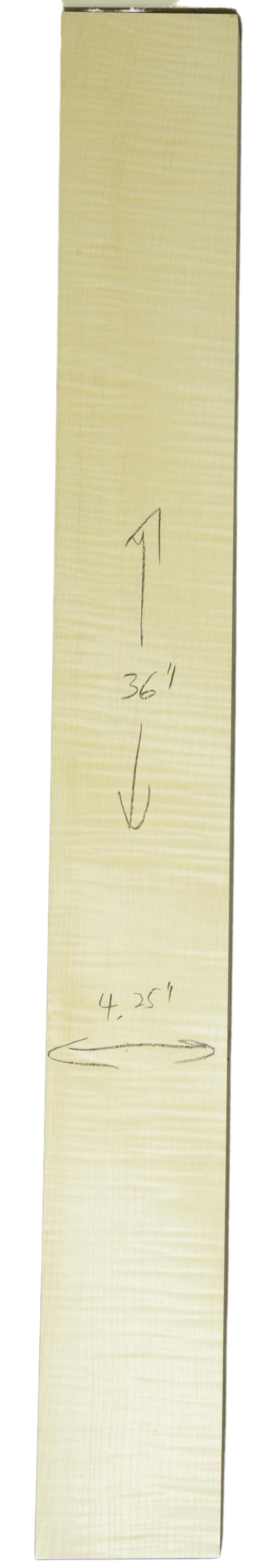 Sycamore (English) GuitarNeckATC L26230.G.023