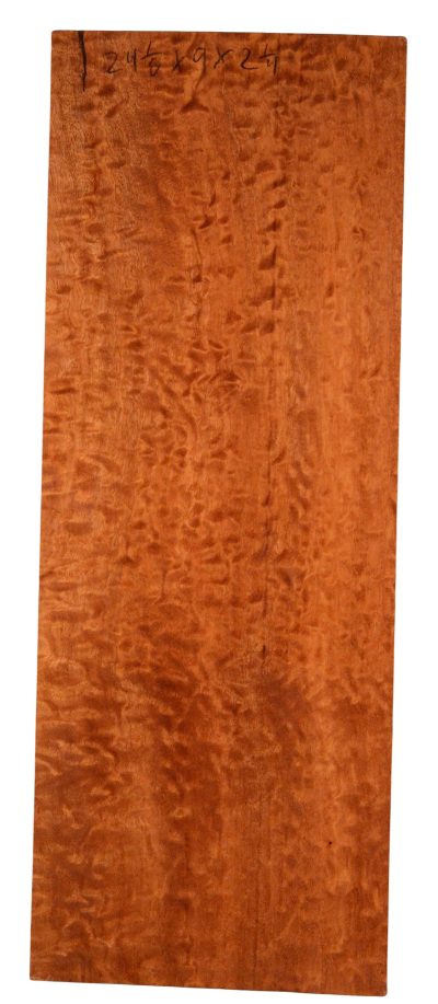Sapele GuitarBilletATC 20196.G.005