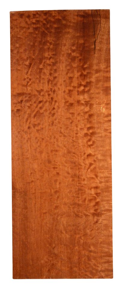 Sapele GuitarBilletATC 20196.G.005