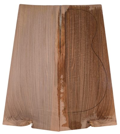 Walnut (English) GuitarBack2pcATC 22967.G.344