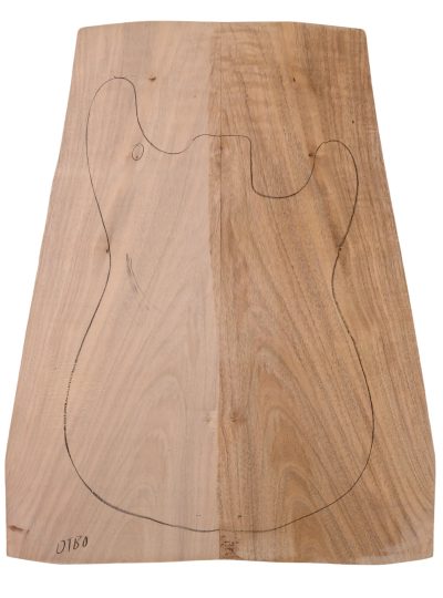 Walnut (English) GuitarSolidBodyTopATC 22967.G.373