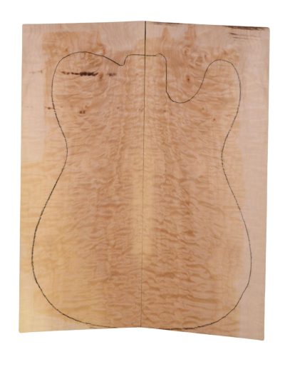 Maple (Big Leaf) GuitarSolidBodyTopATC 23965.G.028