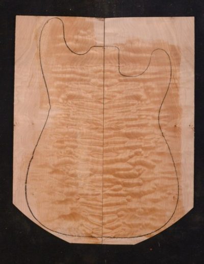 Maple (Big Leaf) GuitarSolidBodyTopATC 23965.G.032