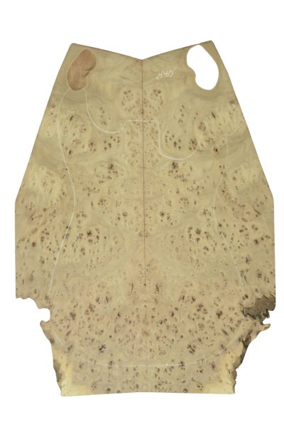 Elm (Red) GuitarSolidBodyTopATC 26213.G.001