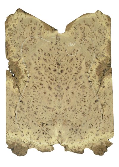 Elm (Red) GuitarSolidBodyTopATC 26213.G.002